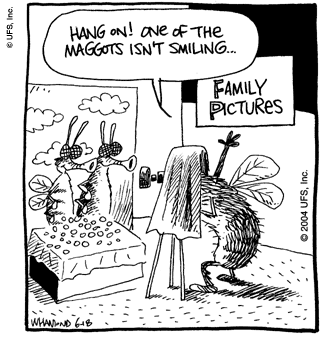 reality